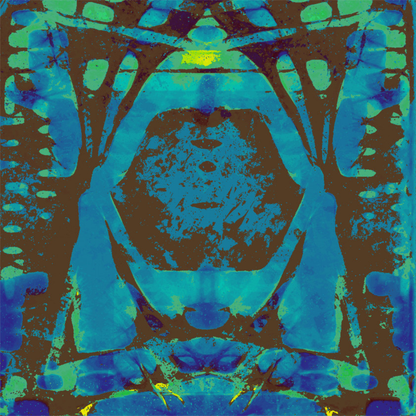 Turquoise Alligator Art Blue Teal PNG