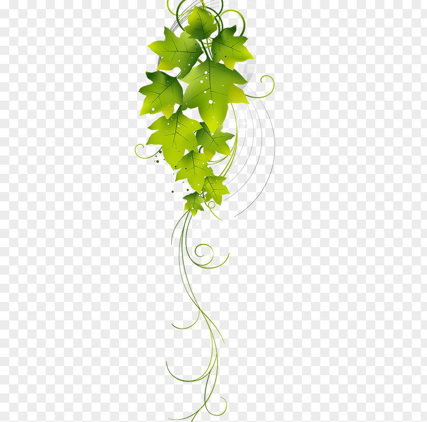 Leaf Misgurnus Fossilis Clip Art Illustration Photography Image PNG