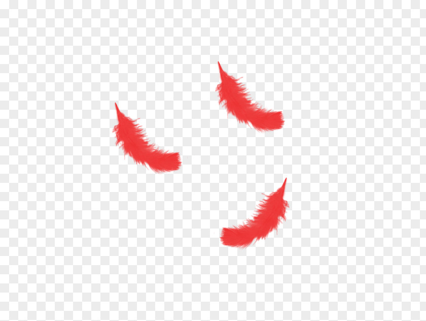 Red Feather PNG