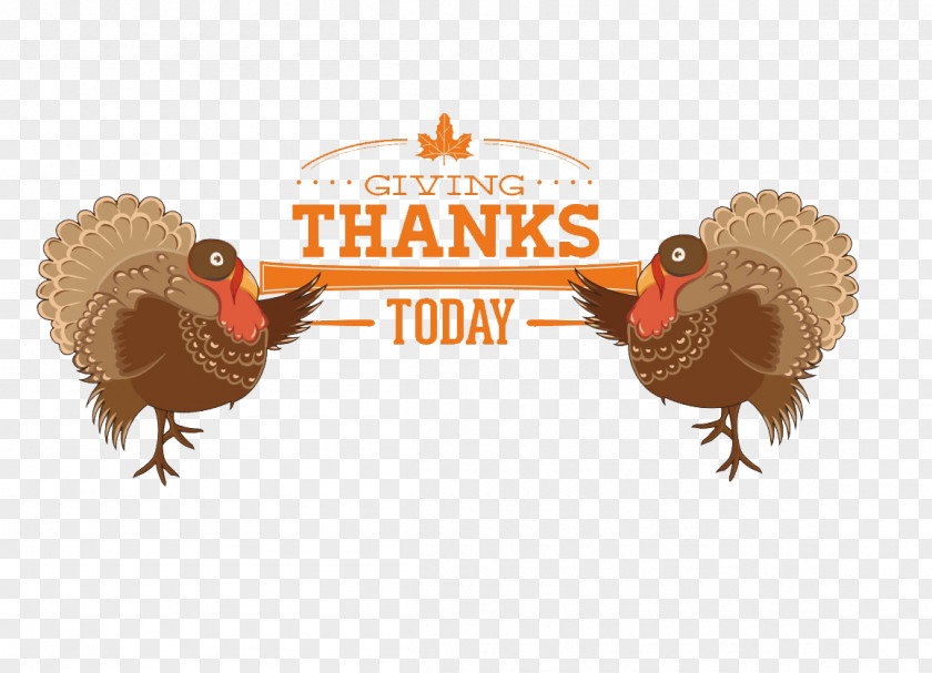 Thanksgiving Decorative Pattern Turkey Meat Clip Art PNG