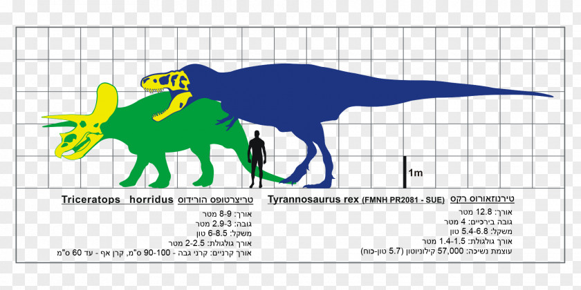 Tyrannosaurus Triceratops Gorgosaurus Spinosaurus Mapusaurus PNG