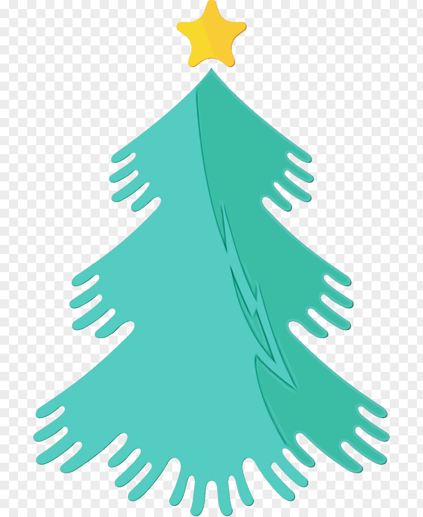 Conifer Fir Christmas Tree PNG