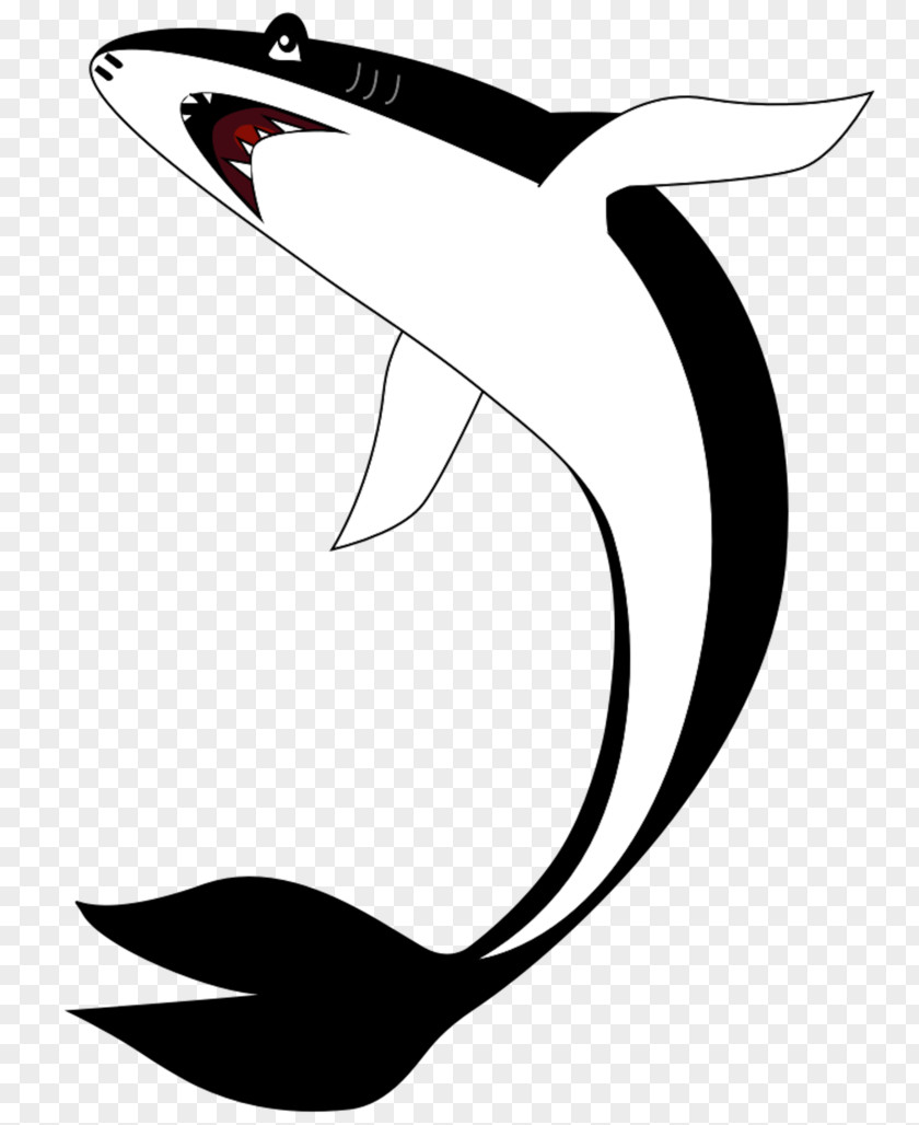 Dolphin Line Art Cartoon Clip PNG