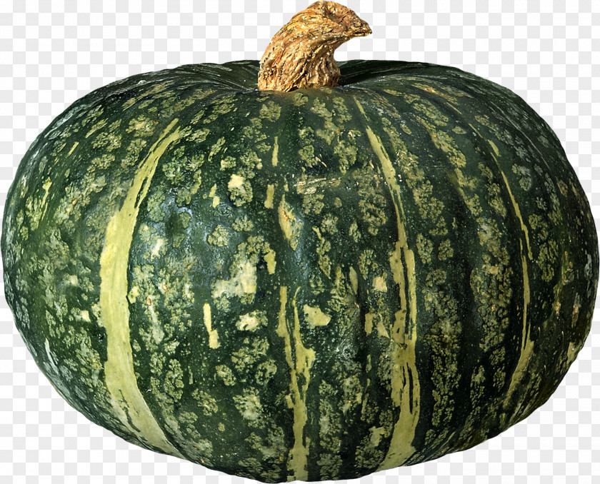 Green Pumpkin Pattern Kabocha Figleaf Gourd Cucurbita Pepo PNG