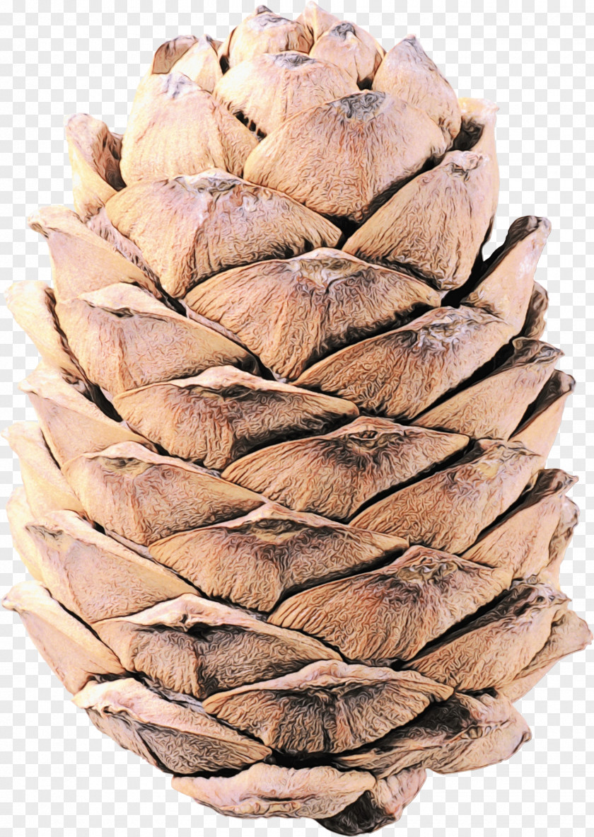 Natural Material Artichoke Family Tree Background PNG