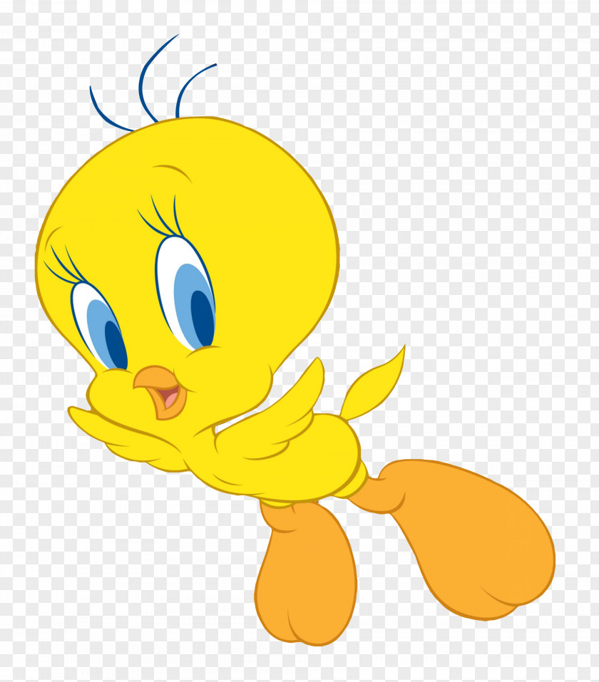 Tweety Duck Clip Art PNG