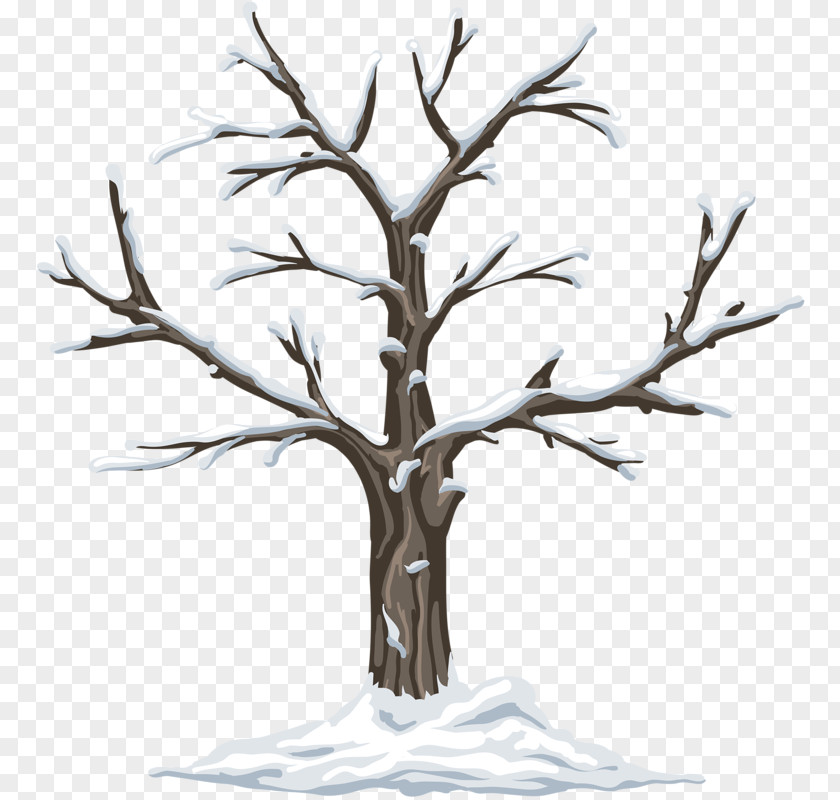 Winter Dead Trees Season Kindergarten Garden Clip Art PNG