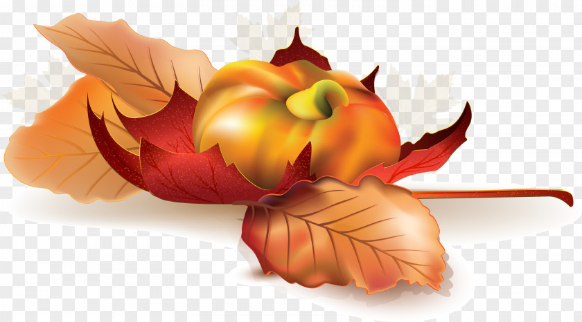 Autumn Elements Advertising Design Image Vector Graphics PNG