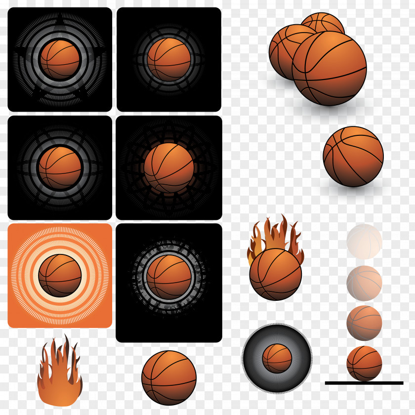 Basketball Sport Euclidean Vector PNG