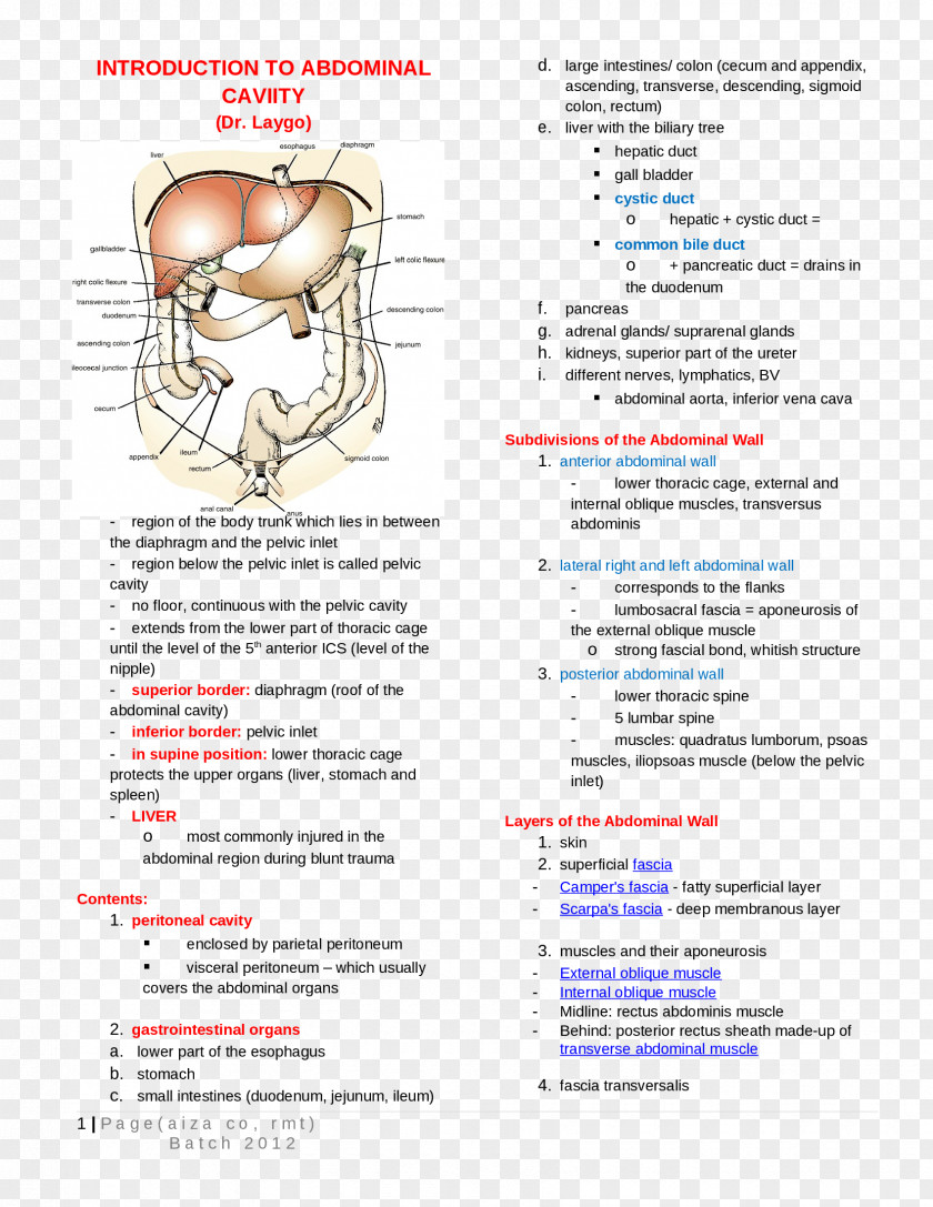 Line Organism Brochure Rita Of Cascia PNG