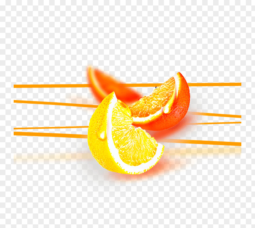 Orange Juice Cocktail Lemon PNG