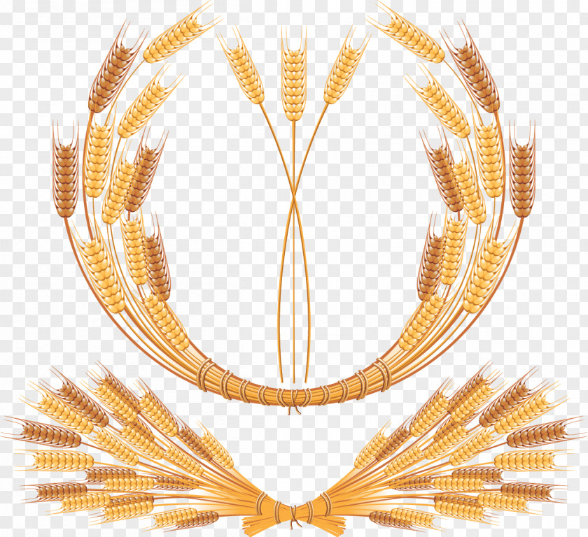 Wheat Common Ear Royalty-free Clip Art PNG