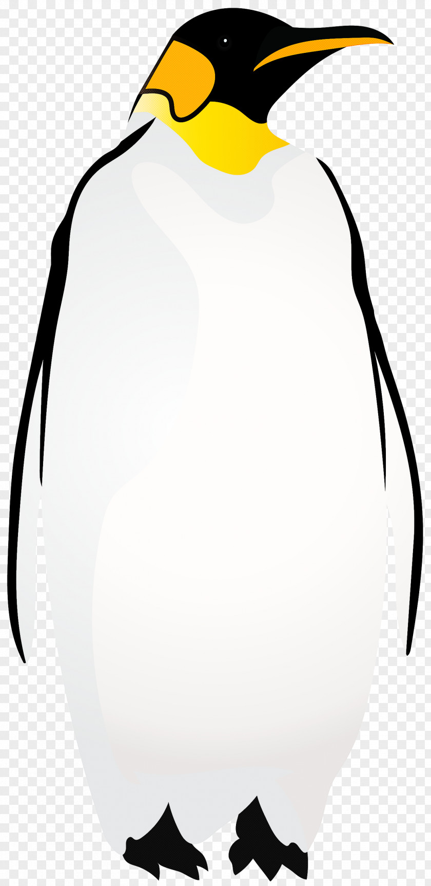 Bag King Penguin PNG