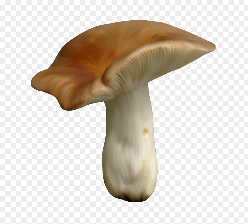 Cartoon Mushroom Edible Clip Art PNG