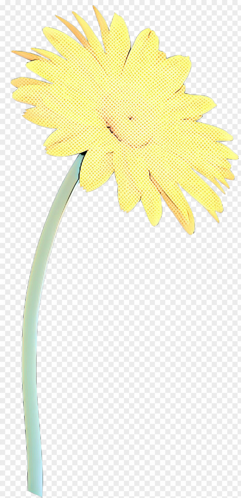 Daisy Family Plant Flowers Background PNG