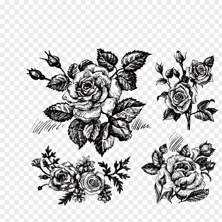 Hand-painted Roses Rose Drawing Flower Clip Art PNG