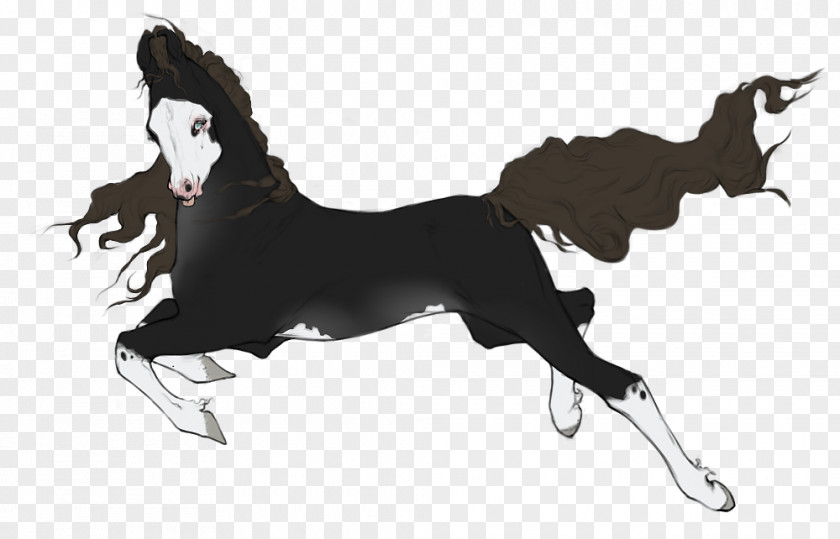 Handsome Models Middle Mustang Stallion Mane Black Dog PNG