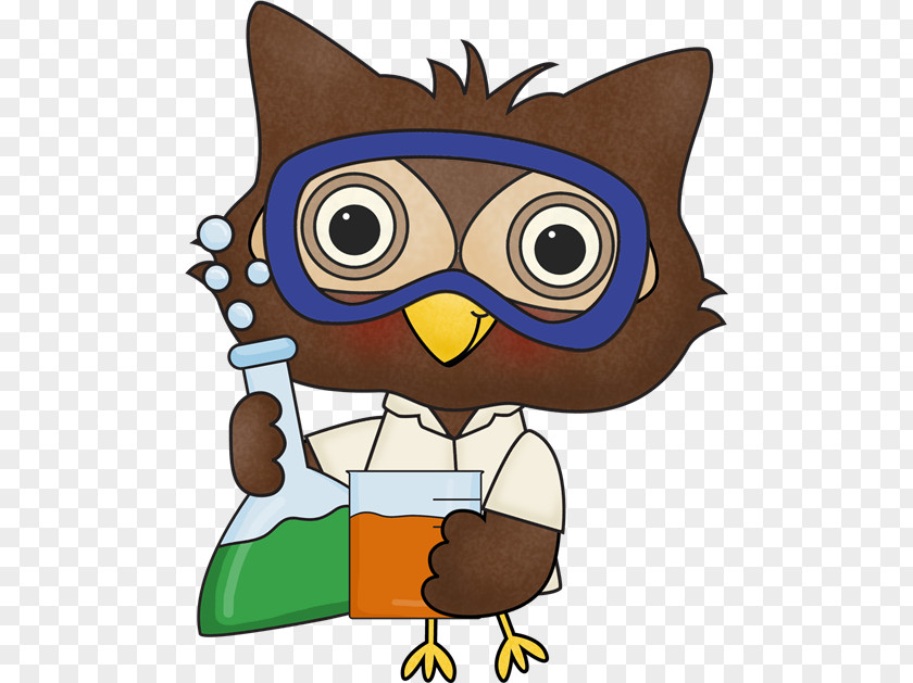 Owl Clip Art Openclipart Science Bird PNG