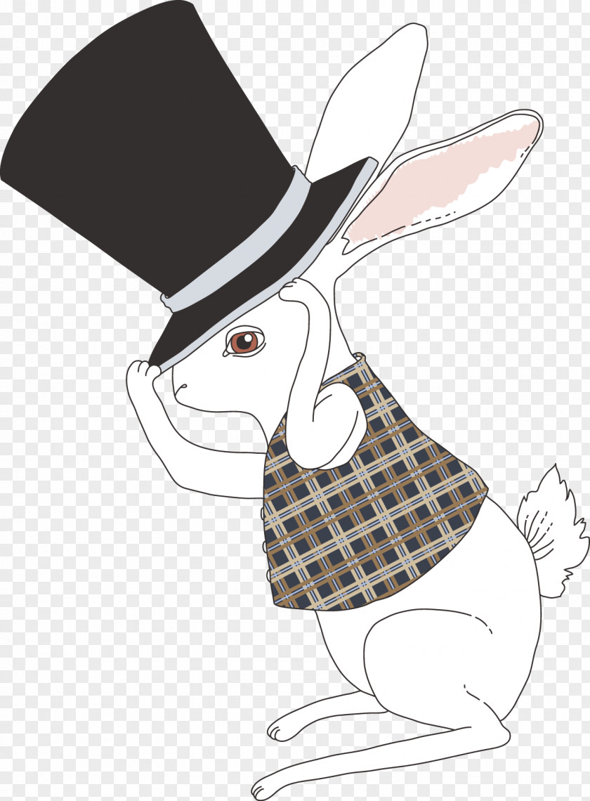 Rabbit Hat White Alice's Adventures In Wonderland Photography Illustration PNG
