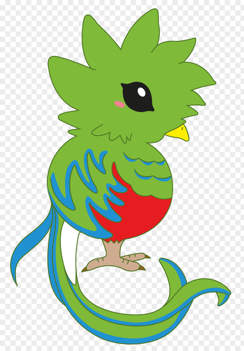 Resplendent Guatemalan Quetzal Drawing PNG