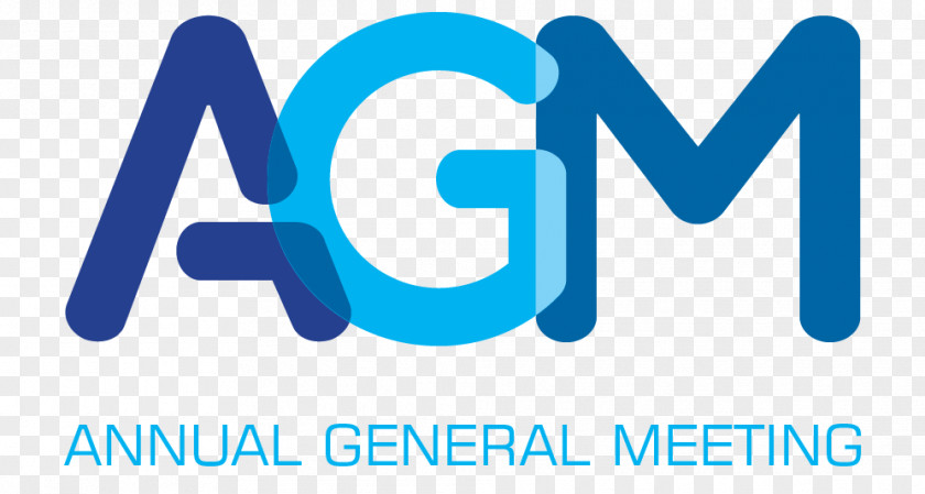 Annual General Meeting Chairman Agenda Committee 0 PNG