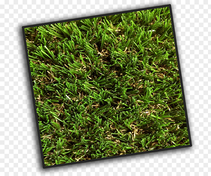 Artificial Grass Turf Lawn Groundcover King | Excellence In PNG