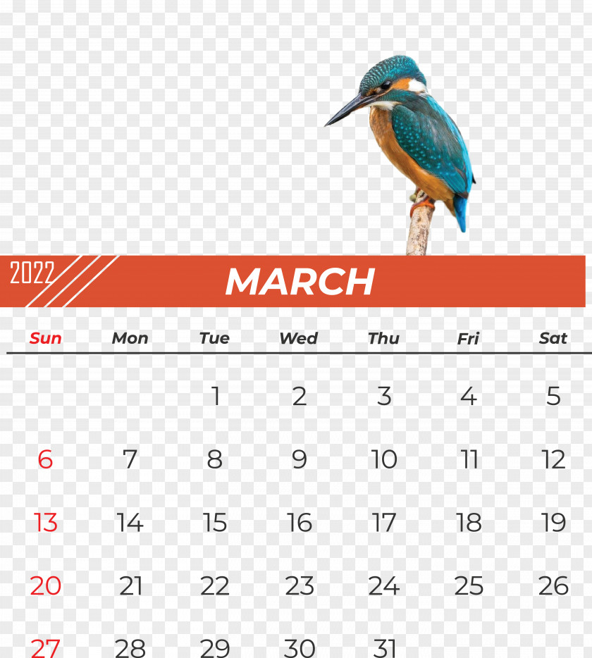 Birds Beak Calendar Font Meter PNG