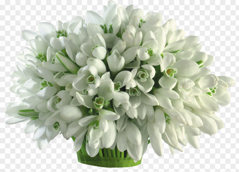 Crocus Flower Bouquet Cut Flowers Bulb Galanthus Nivalis PNG