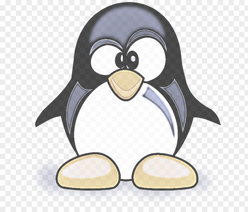 Emperor Penguin Beak PNG
