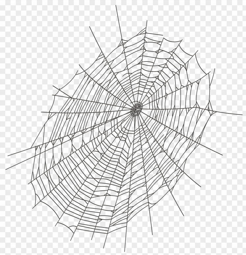 Halloween Large Spider Web Clipart Clip Art PNG