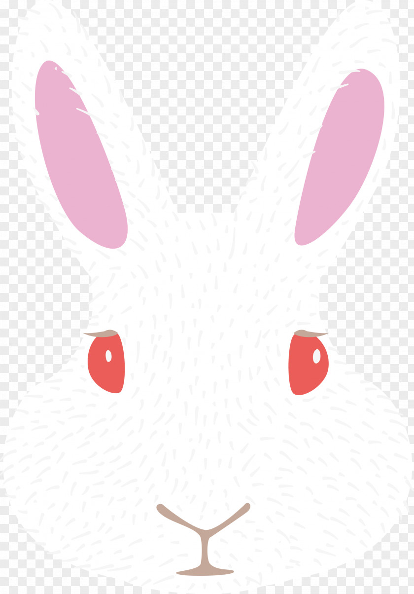 Hares Rabbit Cartoon Line Science PNG