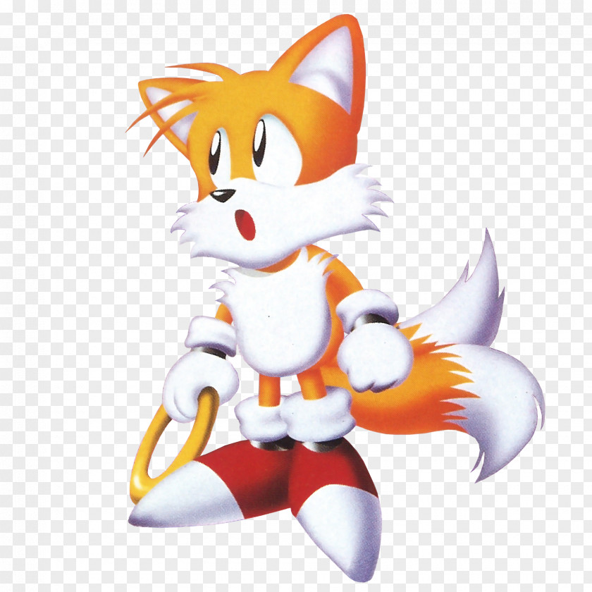 Hedgehog Tails' Skypatrol Sonic The Chaos Heroes PNG