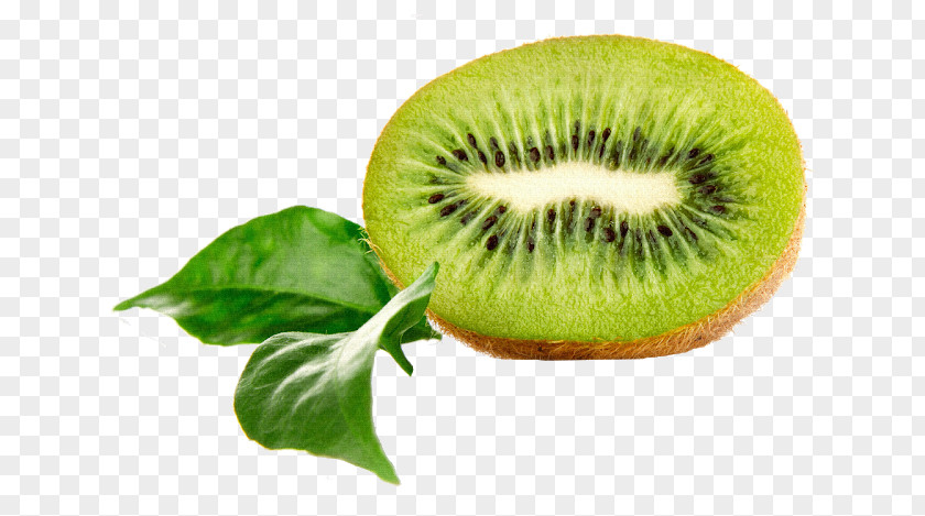 Kiwi Actinidia Deliciosa Kiwifruit Food Lime Exotic Fruit PNG