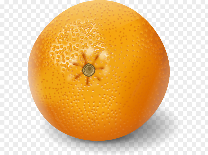 Orange Clementine Juice Mandarin Tangerine PNG