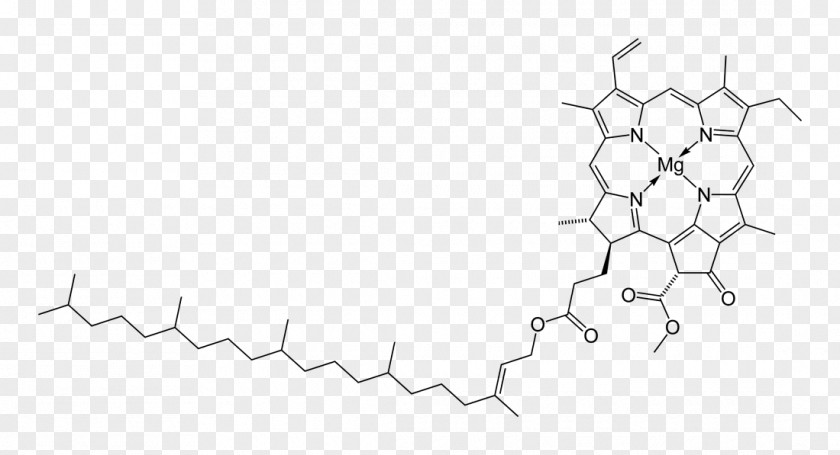 Organic Chemistry Heme Chlorophyll Hemoglobin Myoglobin PNG