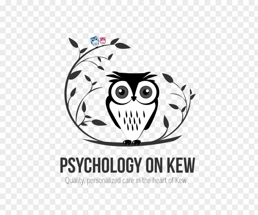 Owl Logo /m/02csf Drawing Graphic Design PNG