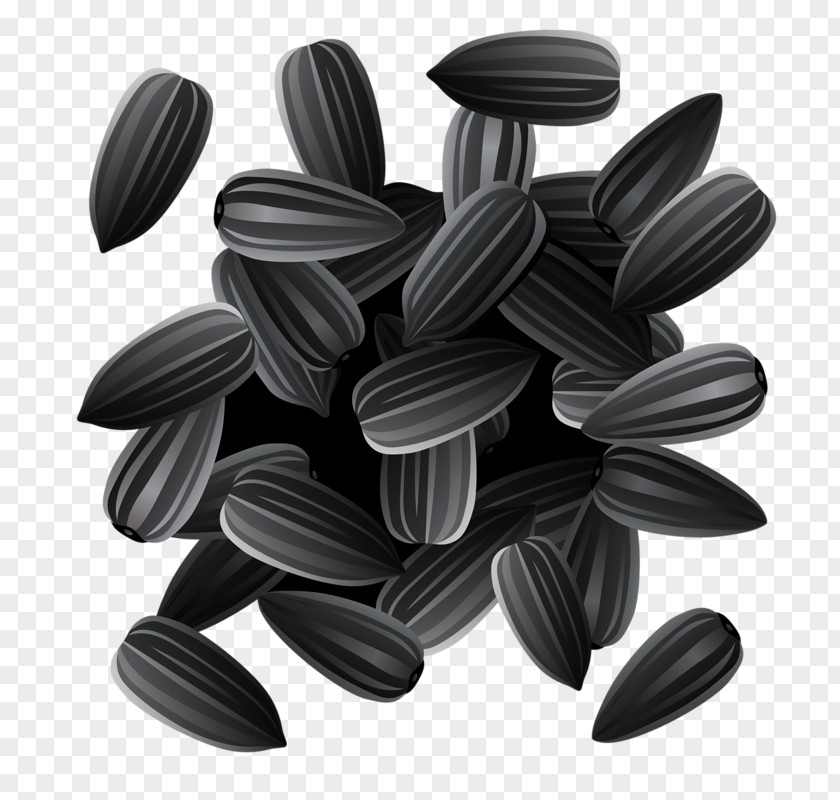 Precisely Melon Seeds Common Sunflower Seed Sowing Clip Art PNG