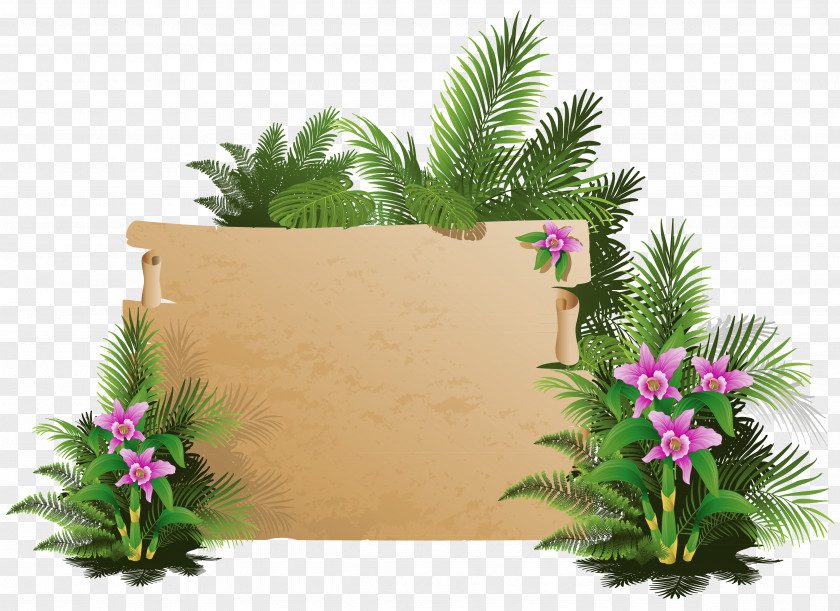 Summer Exotic Board Clipart Clip Art PNG