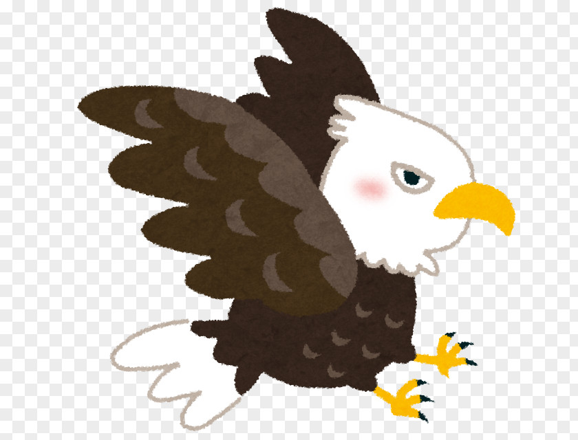 Bald Eagle いらすとや Nest PNG