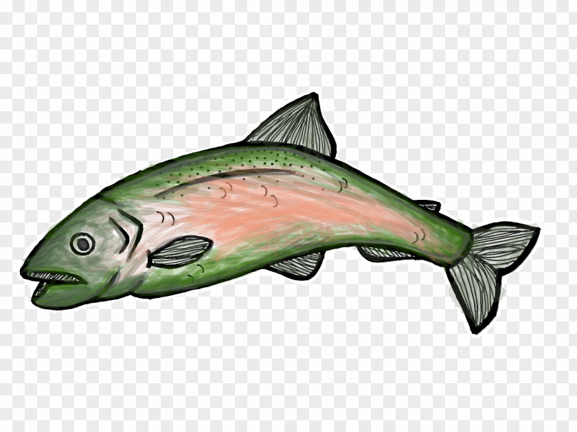 Bonyfish Fin Sushi Cartoon PNG