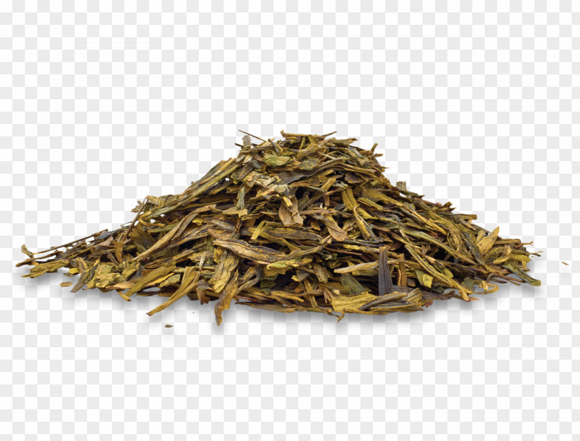 Longjing Tea Romeritos Damiana Pumpkin Seed Golden Monkey Herbalism PNG