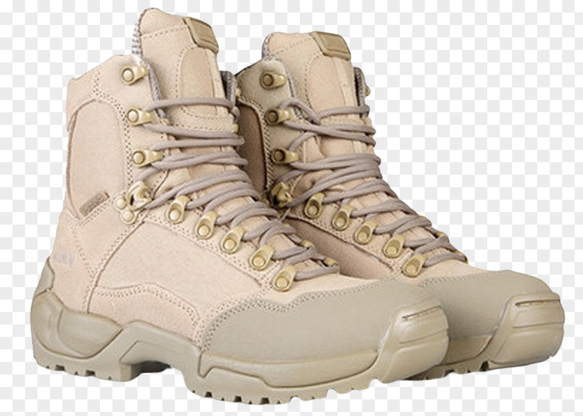 Special Boots Boot PNG