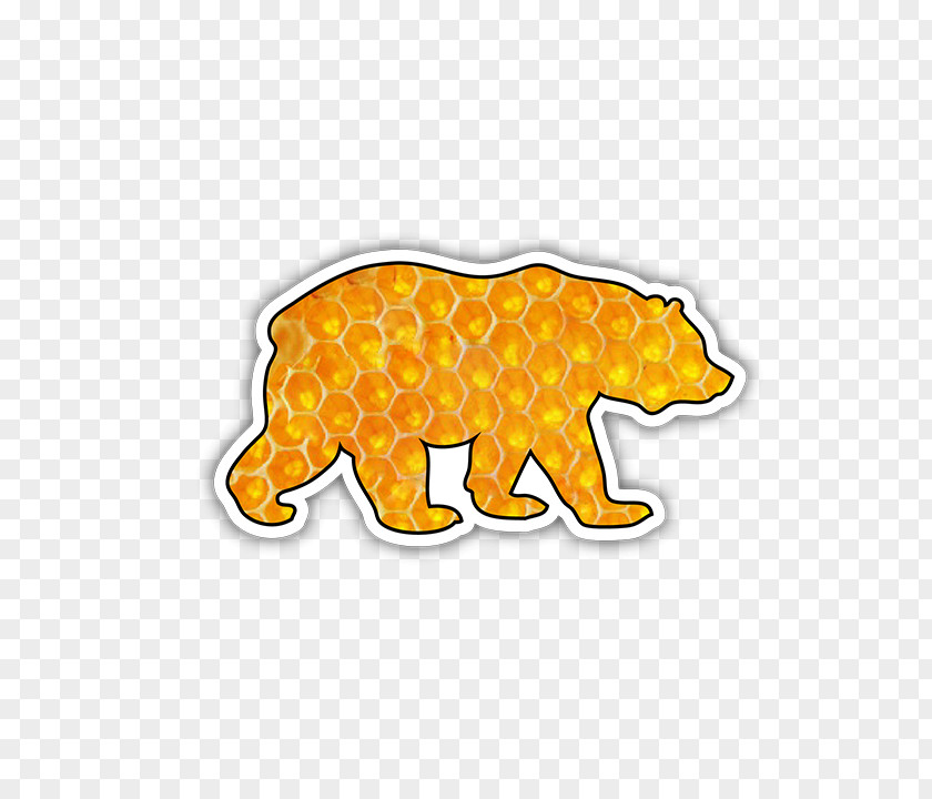 Bear Honey Carnivora Snout Animal Animated Cartoon Font PNG