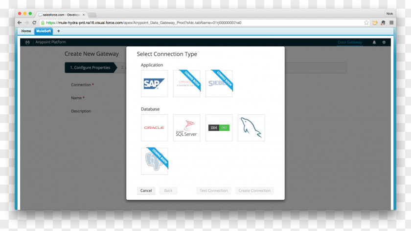 Business Computer Program MuleSoft Salesforce.com Application Programming Interface PNG