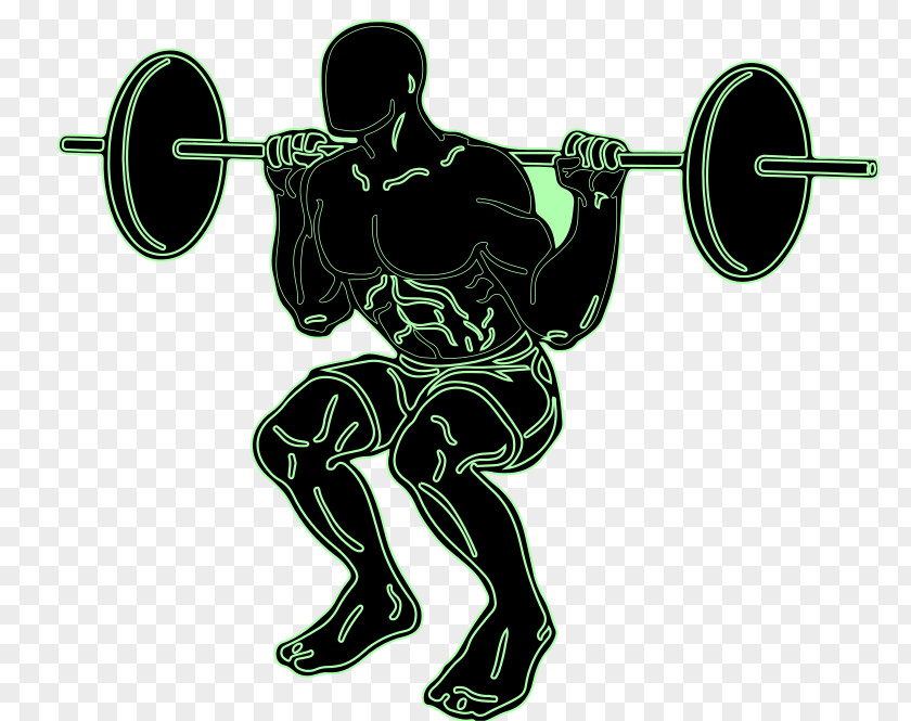 Squat Exercise Weight Training Olympic Weightlifting Clip Art PNG