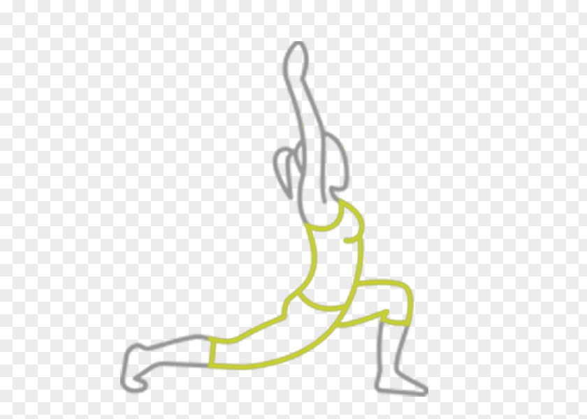 Yoga Exercise Physical Fitness Barre PNG