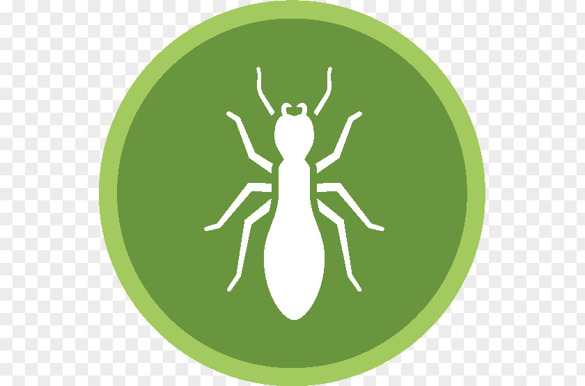 Cockroach Pest Control Exterminator Termite PNG