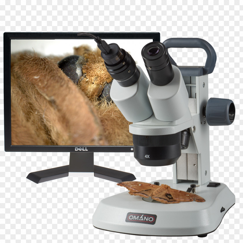 Microscope Stereo Optical Digital 20x PNG