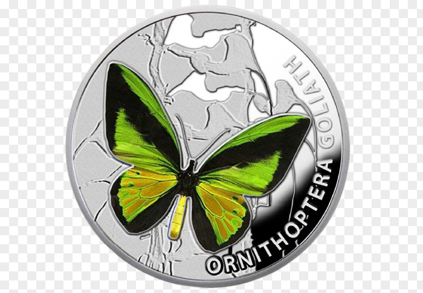 Papilio Machaon Butterflies And Moths Silver Coin Insect Wing Nature PNG