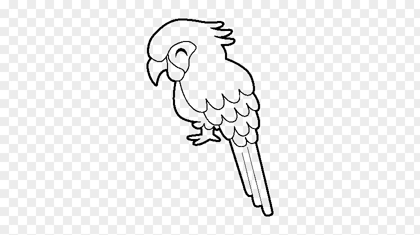 Parrot Bird Military Macaw Drawing Coloring Book PNG